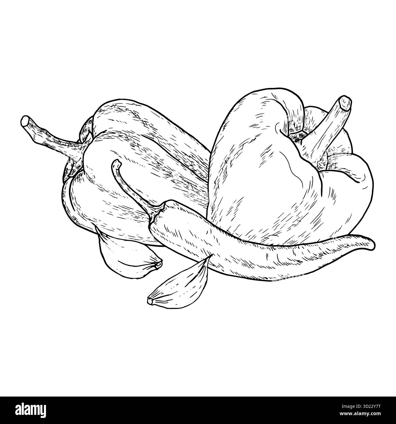 Piment chaud et poivron, croquis. Illustration vectorielle. Légumes frais de la ferme et gousses d'ail, ensemble isolé sur un fond blanc. Le thème o Illustration de Vecteur