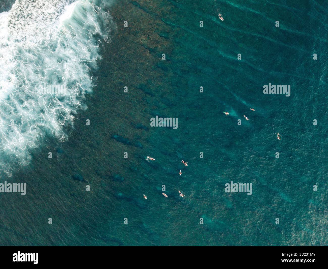 Vue aérienne des surfeurs dans un océan bleu profond avec des vagues blanches écrasantes près d'un récif corallien. Lombok, Semeti, Indonésie Banque D'Images
