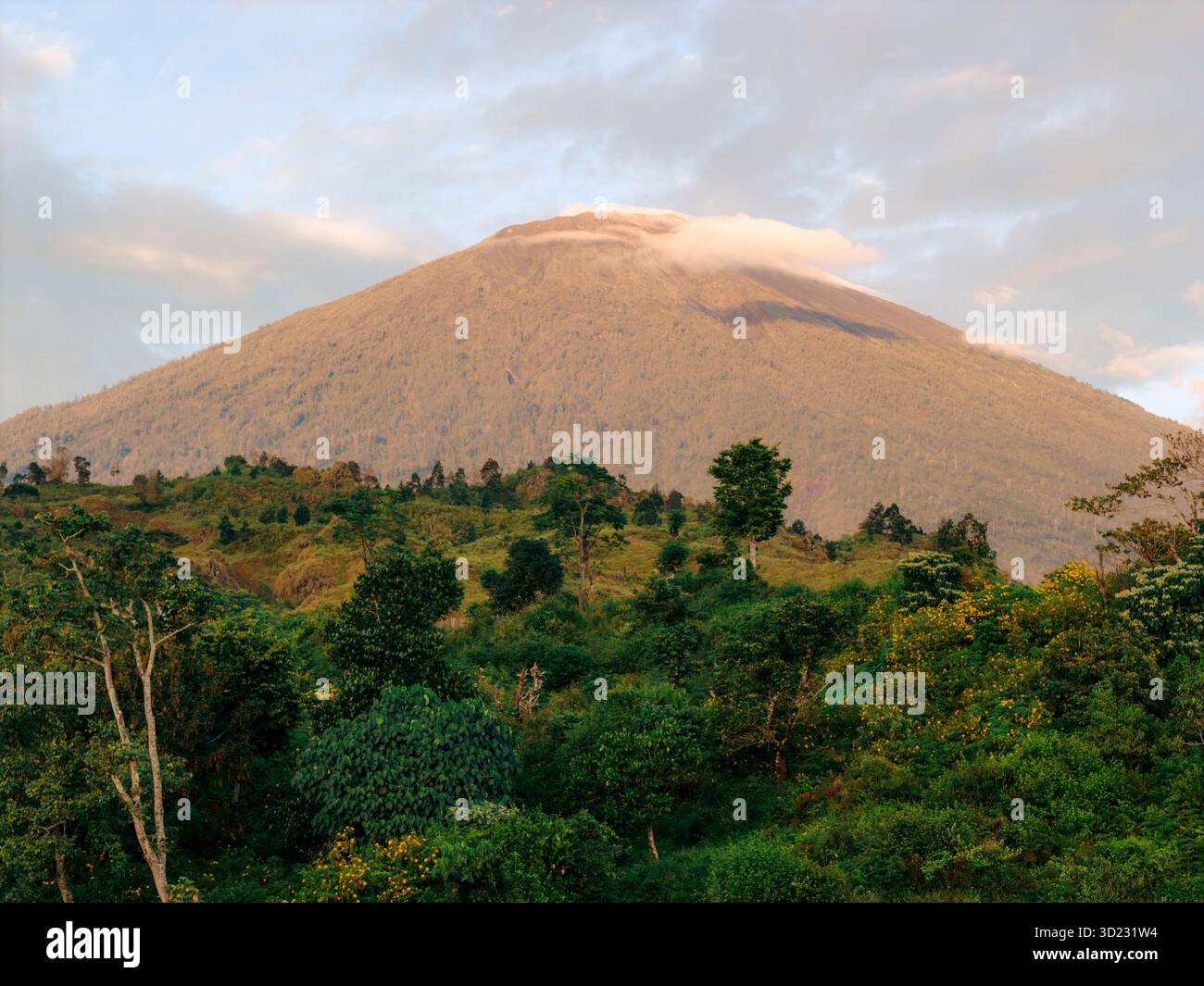 Une montagne volcanique majestueuse encadrée par une végétation luxuriante sous un ciel nuageux. Lombok, Senaru, Indonésie Banque D'Images