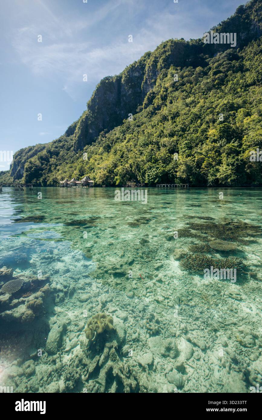 Eau cristalline avec récif corallien sous des montagnes verdoyantes et un ciel bleu. Village de Saleman, île de Seram, Maluku, Indonésie Banque D'Images
