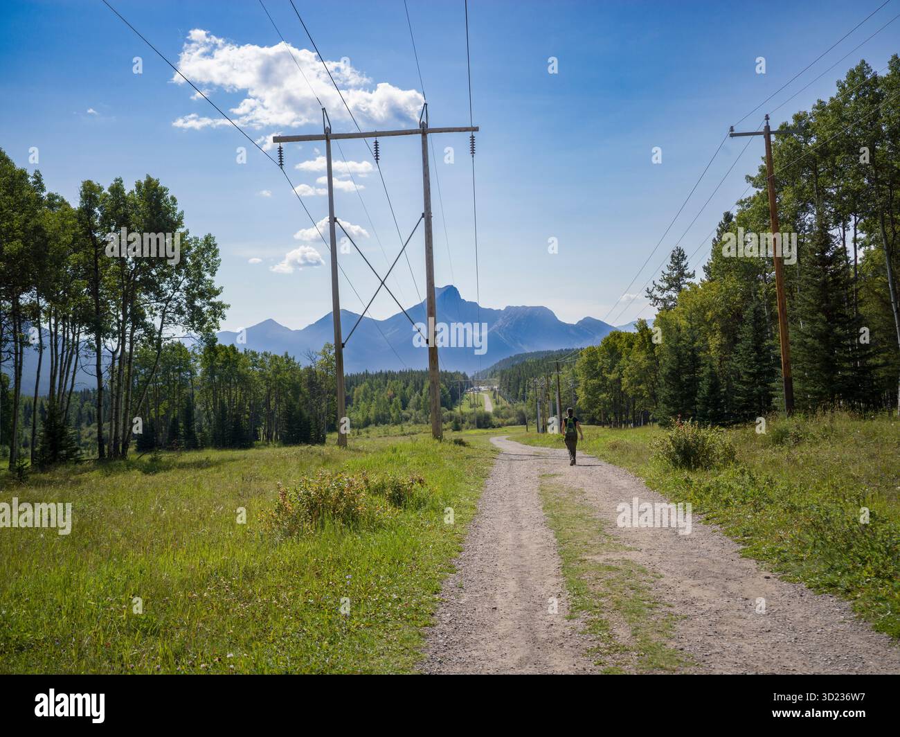 Un randonneur solitaire marchant sur un chemin de terre sous les pylônes électriques avec vue sur la montagne. Parc de la Nation des Lacs-Waterton, Alberta, Canada Banque D'Images