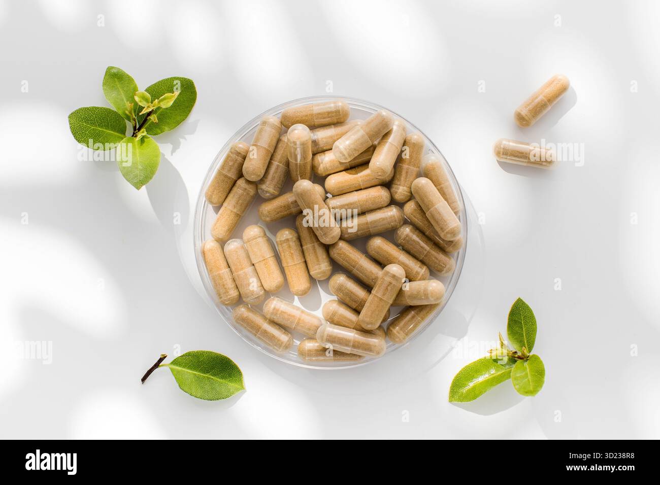 Les capsules contenant des vitamines ou un complément alimentaire sont brunes sur fond blanc. Médecine, médicaments Banque D'Images