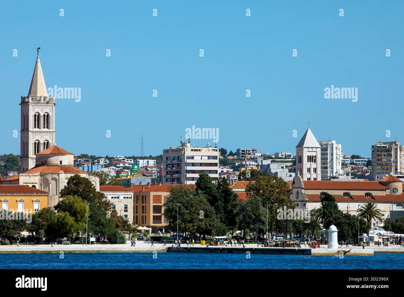 Paysage urbain côtier avec une architecture historique, des arbres et un ciel bleu clair. Zadar, Croatie Banque D'Images