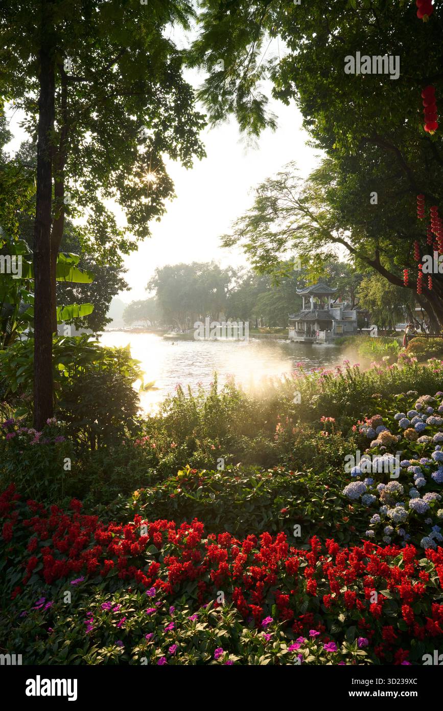Guangzhou, Chine. Guangzhou Liwanhu Park. Fleurs en fleurs dans un jardin ensoleillé au bord de la rivière avec des arbres luxuriants et une atmosphère paisible. Banque D'Images