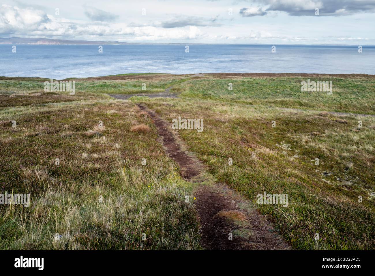 Un étroit chemin de terre serpente à travers un vaste paysage herbeux avec une vue sur la mer sous un ciel nuageux. Dunnet Head, Écosse Banque D'Images