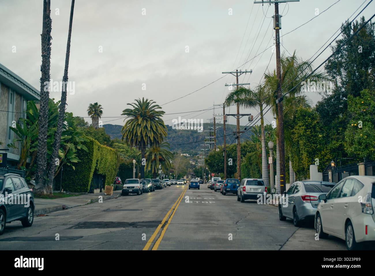 Vue sur la rue urbaine avec palmiers et signe Hollywood au loin sous un ciel nuageux. Californie, États-Unis Banque D'Images