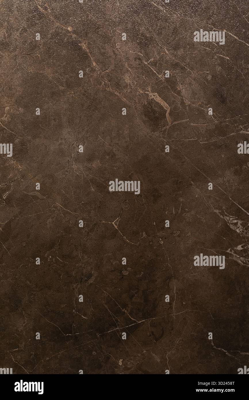 Surface en marbre brun foncé avec des motifs complexes et des textures affichées dans un éclairage naturel Banque D'Images