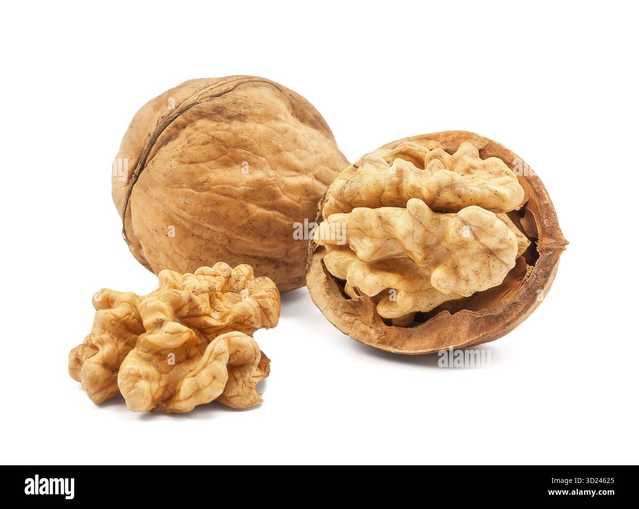 Noyer isolé sur fond blanc Banque D'Images