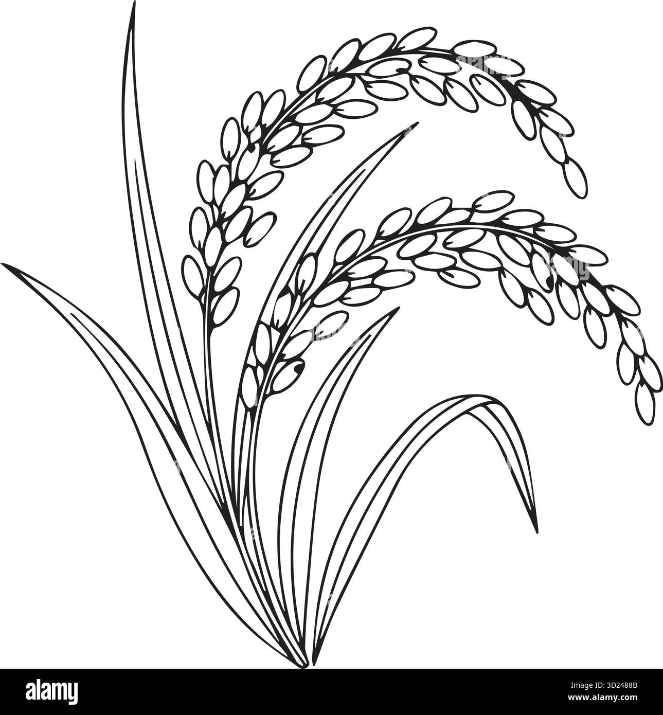 page de coloration vectorielle d'illustration de riz Illustration de Vecteur