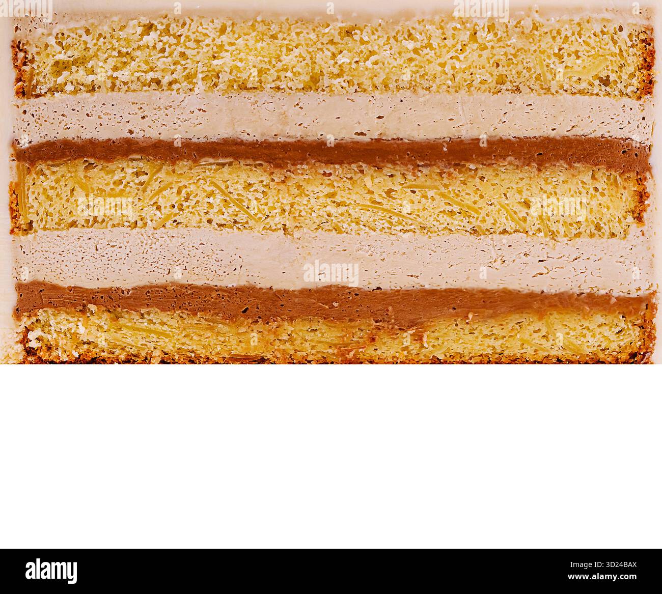 Couches d'un dessert mettant en valeur la vanille et le chocolat sur un fond blanc Banque D'Images