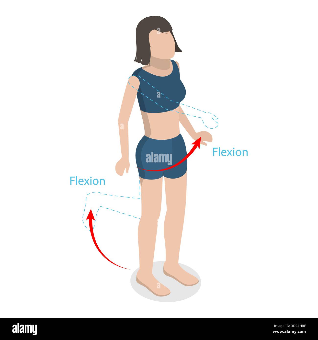 Illustration plate isométrique 3D de la flexion et de l'extension, mouvement du corps humain. Point 2 Banque D'Images