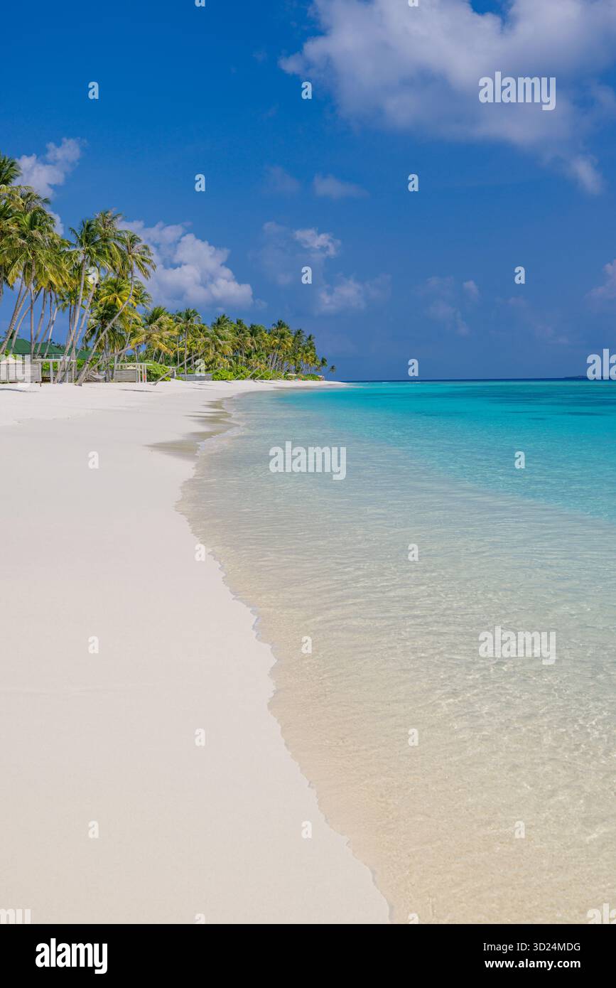 Magnifique paysage de plage d'île tropicale. Magnifique rivage vertical de l'océan, sable doux, soleil chaud, ciel bleu clair en gros plan, voyages sereins d'été Banque D'Images