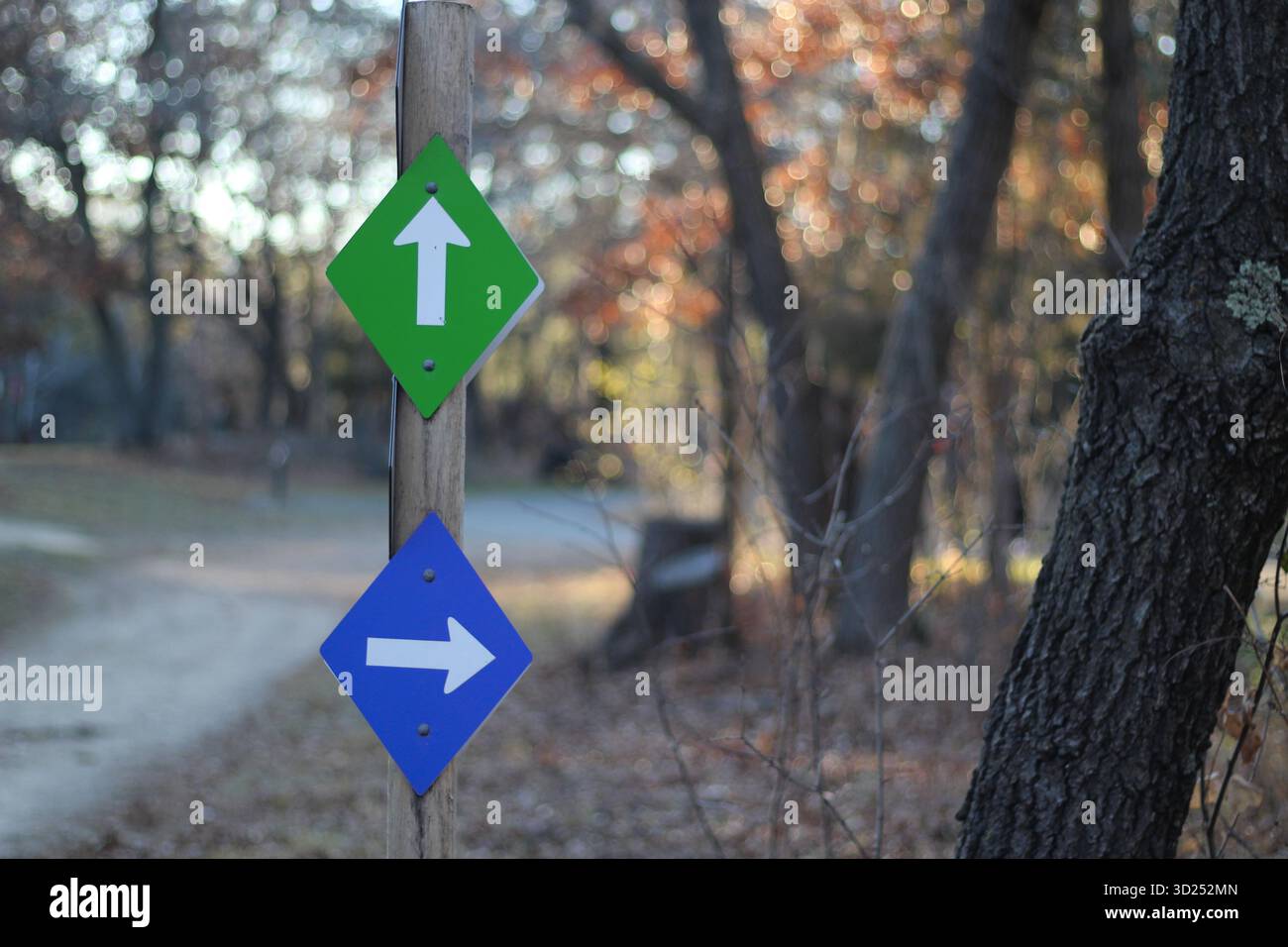 Flèches multidirectionnelles sur un panneau de chemin dans un parc. Conflit d'instructions confusion métaphore chemin décisions vie professionnelle contexte Banque D'Images