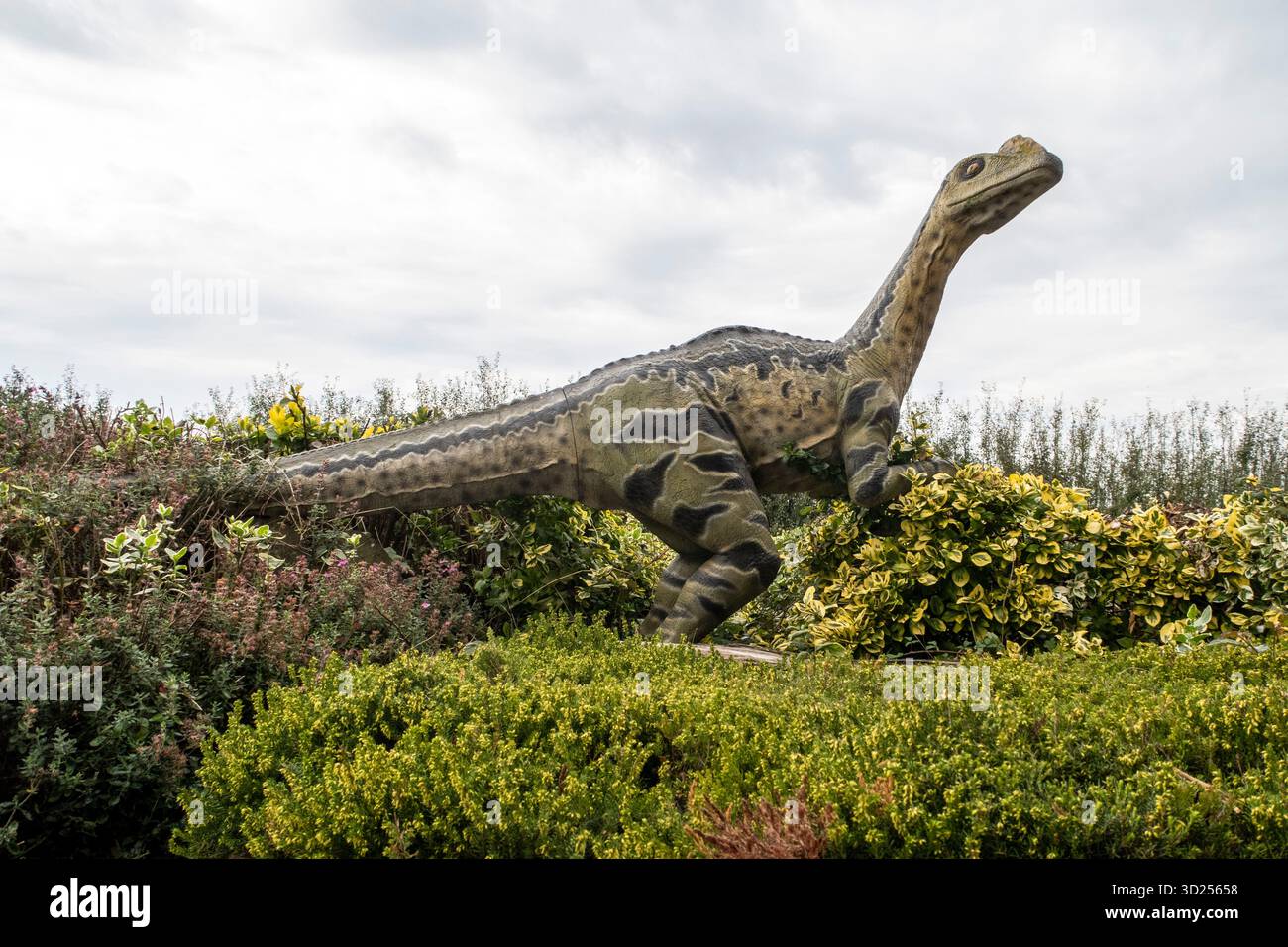 Figures de statues de dinosaures s'élevant d'une haie à Seaton, Devon, Angleterre. Figurines de la côte jurassique Banque D'Images