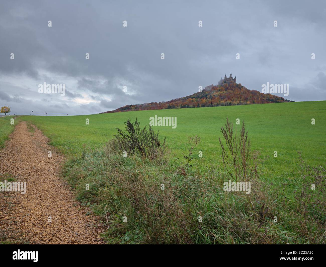 Feuillage d'automne colline Hohenzollern Château surplombant les champs verts avec un chemin de gravier et ciel nuageux à Burg Hohenzollern Allemagne 10/22/2025 Banque D'Images