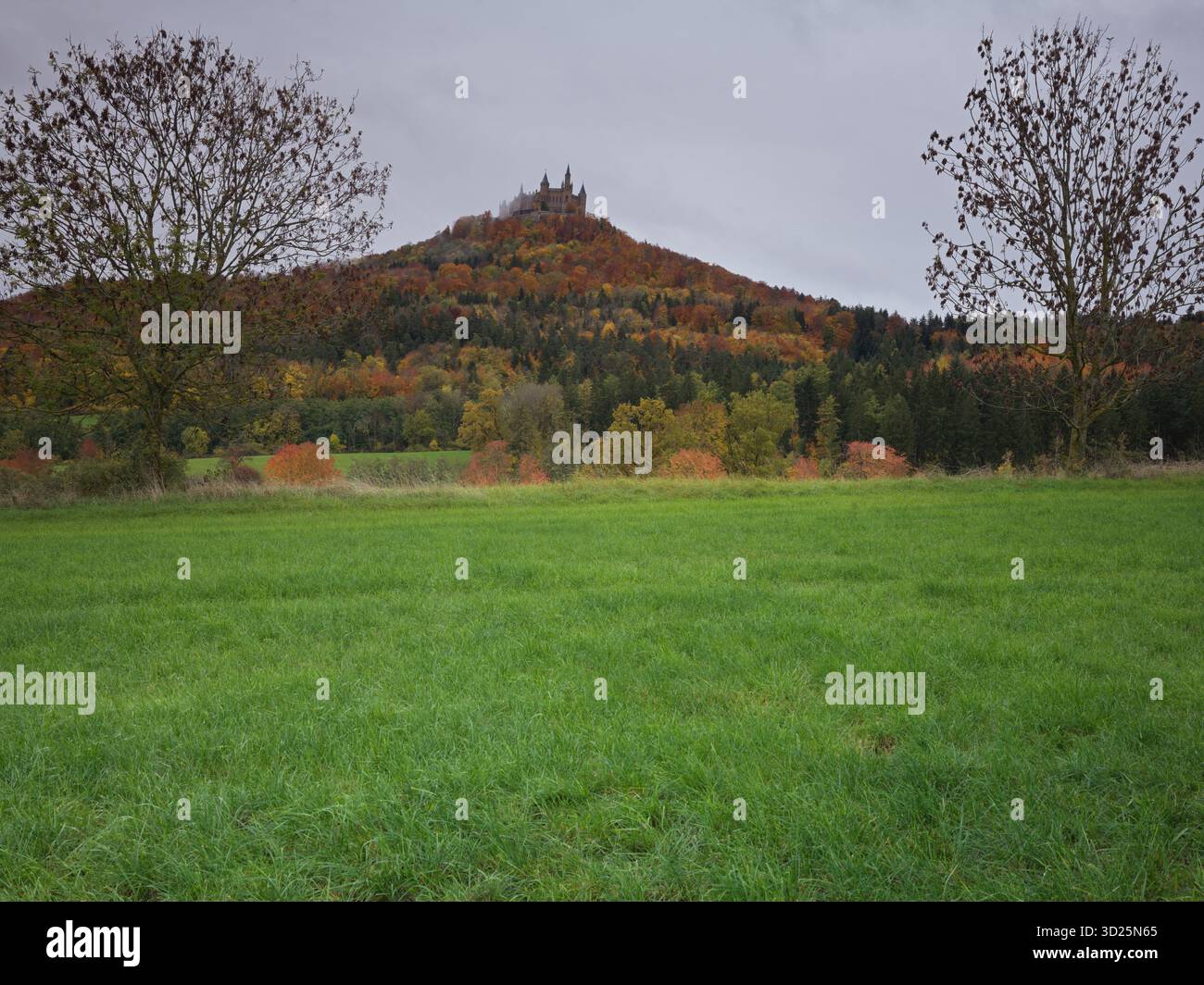 Feuillage d'automne colline Hohenzollern Château surplombant les champs verts sous un ciel nuageux à Burg Hohenzollern Allemagne 10/22/2025 Banque D'Images