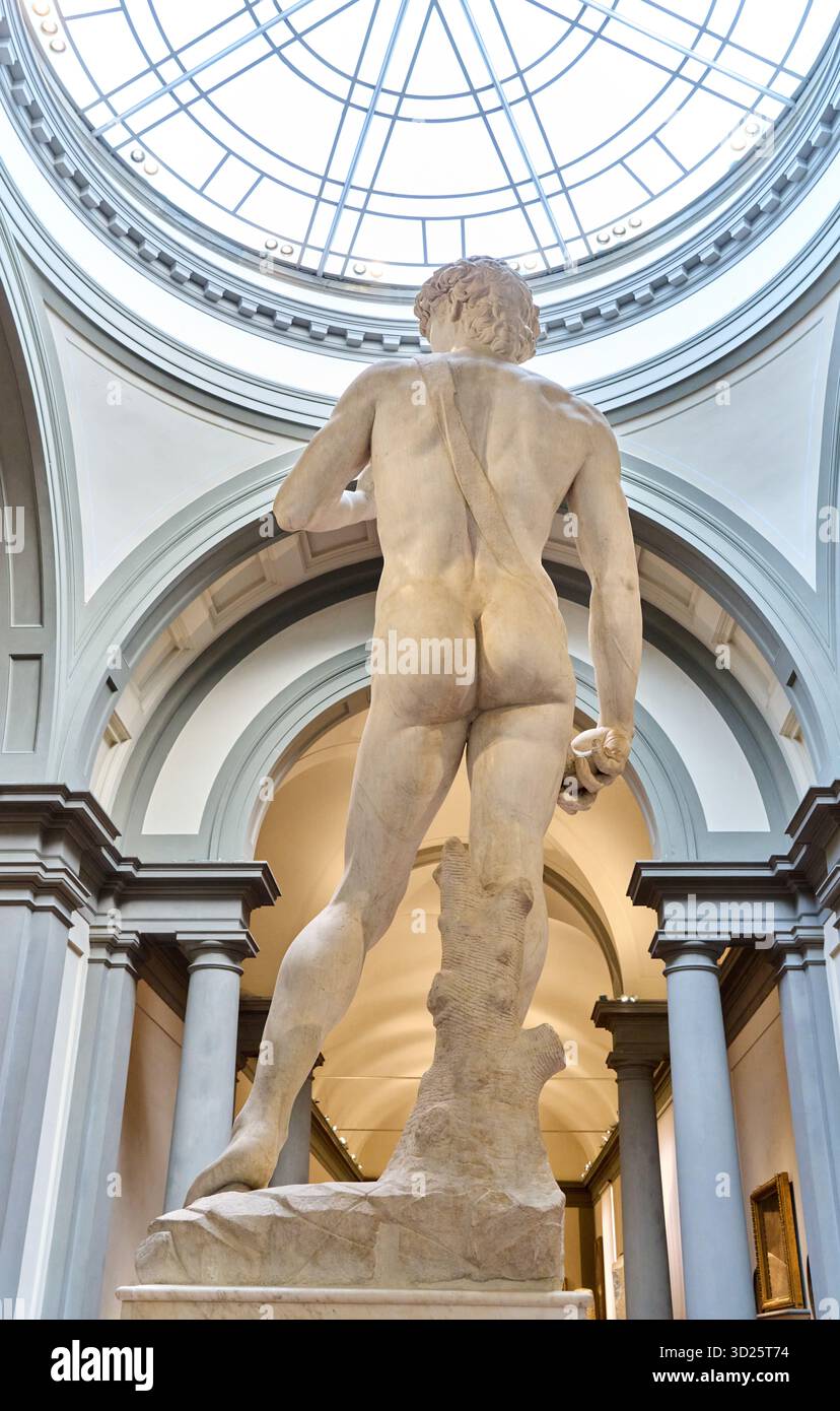 David, 1502-1504, marbre, Michelangelo Buonarroti (Caprese 1475 - Roma 1564), Galerie de l’Académie, Galleria dell’Accademia, Florence, Florence, Florence, Florence, Toscane, Banque D'Images