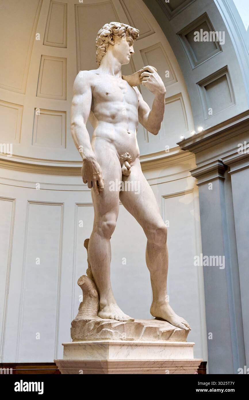 David, 1502-1504, marbre, Michelangelo Buonarroti (Caprese 1475 - Roma 1564), Galerie de l’Académie, Galleria dell’Accademia, Florence, Florence, Florence, Florence, Toscane, Banque D'Images