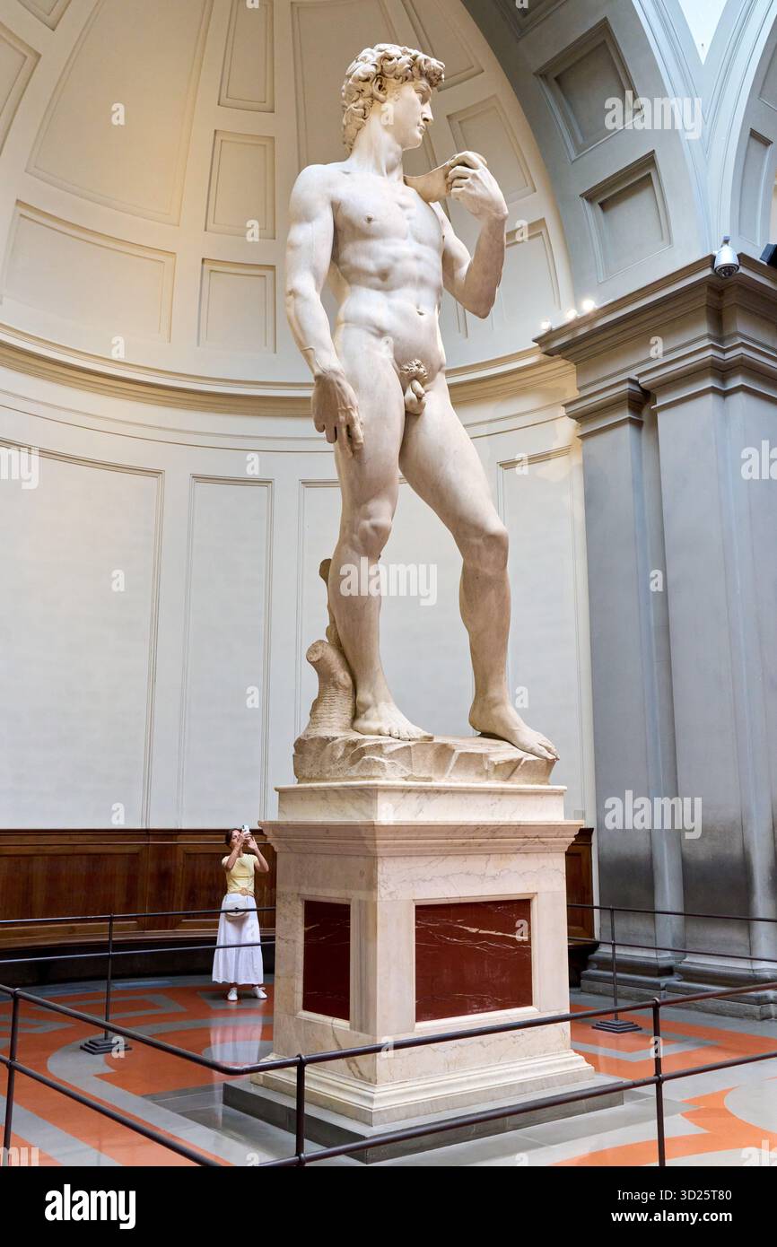 David, 1502-1504, marbre, Michelangelo Buonarroti (Caprese 1475 - Roma 1564), Galerie de l’Académie, Galleria dell’Accademia, Florence, Florence, Florence, Florence, Toscane, Banque D'Images