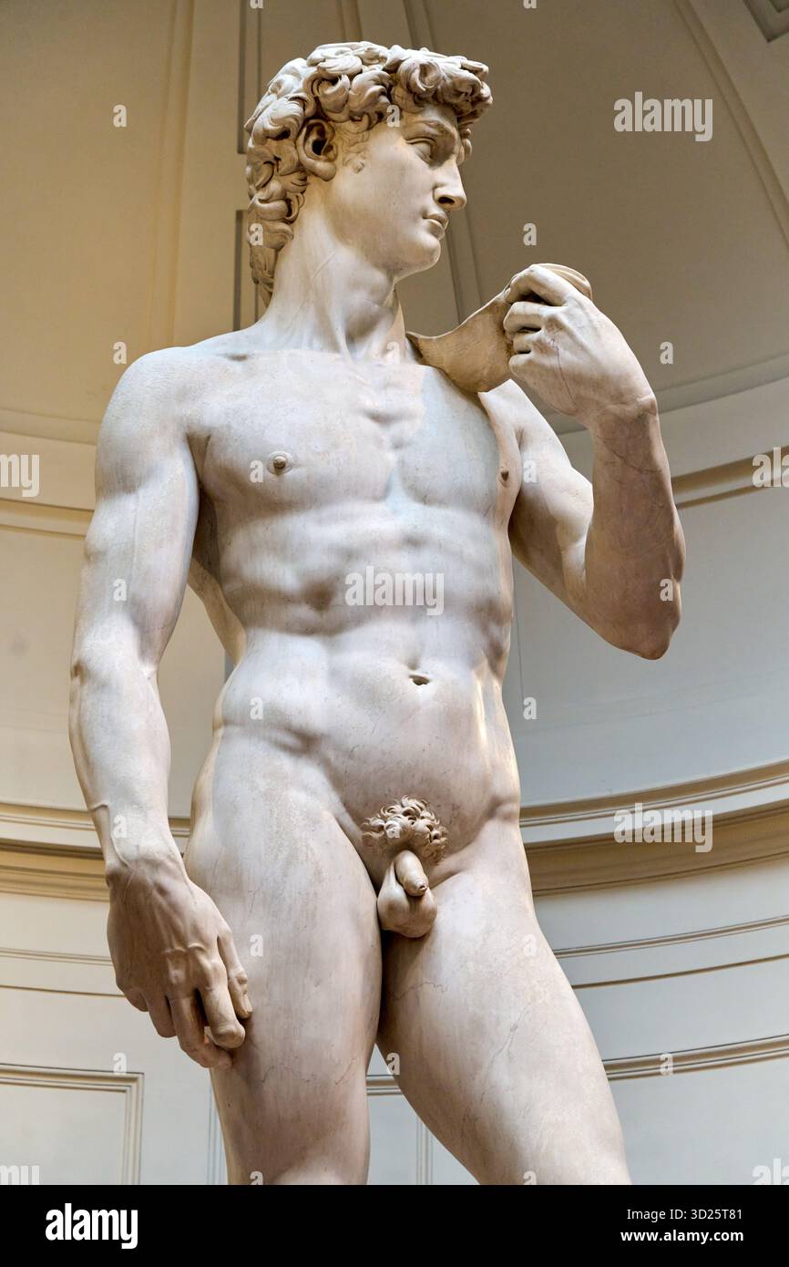 David, 1502-1504, marbre, Michelangelo Buonarroti (Caprese 1475 - Roma 1564), Galerie de l’Académie, Galleria dell’Accademia, Florence, Florence, Florence, Florence, Toscane, Banque D'Images