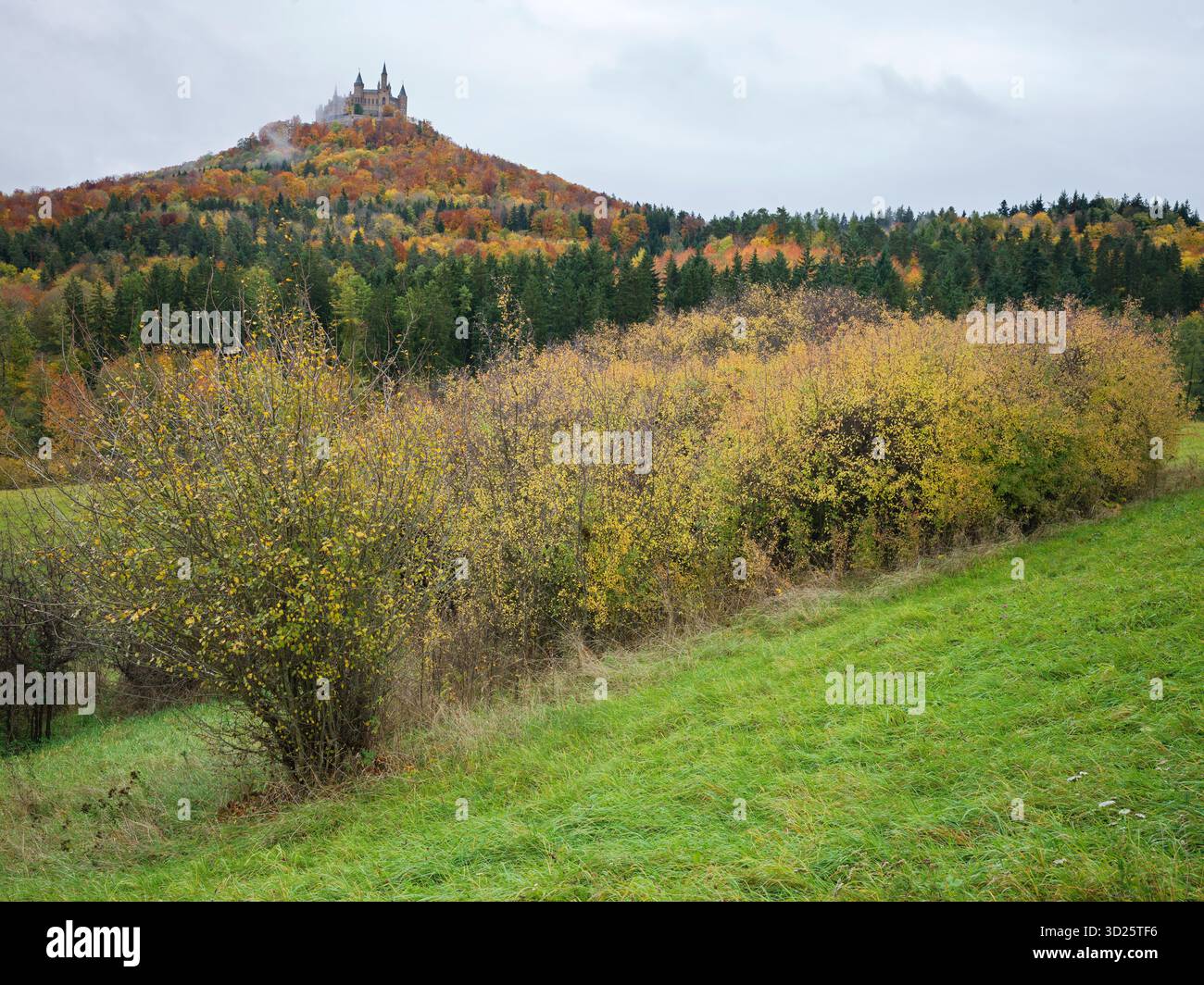 Feuillage d'automne colline Hohenzollern Château surplombant les champs verts sous un ciel nuageux à Burg Hohenzollern Allemagne 10/22/2025 Banque D'Images