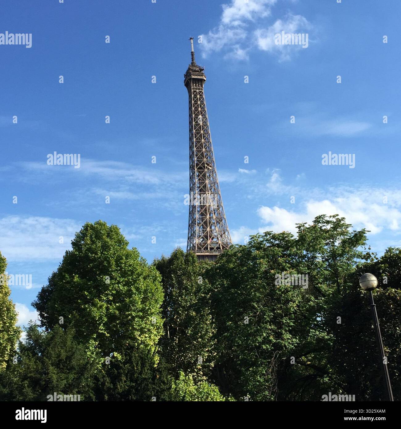 Tour Eiffel, Paris, France regardant à travers les arbres du champ de mars Banque D'Images