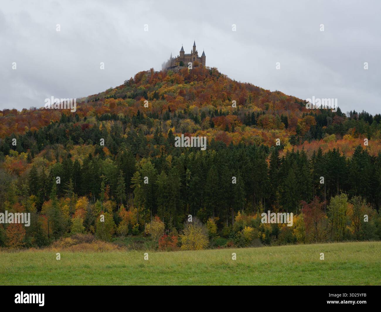 Feuillage d'automne colline Hohenzollern Château surplombant les champs verts sous un ciel nuageux à Burg Hohenzollern Allemagne 10/22/2025 Banque D'Images