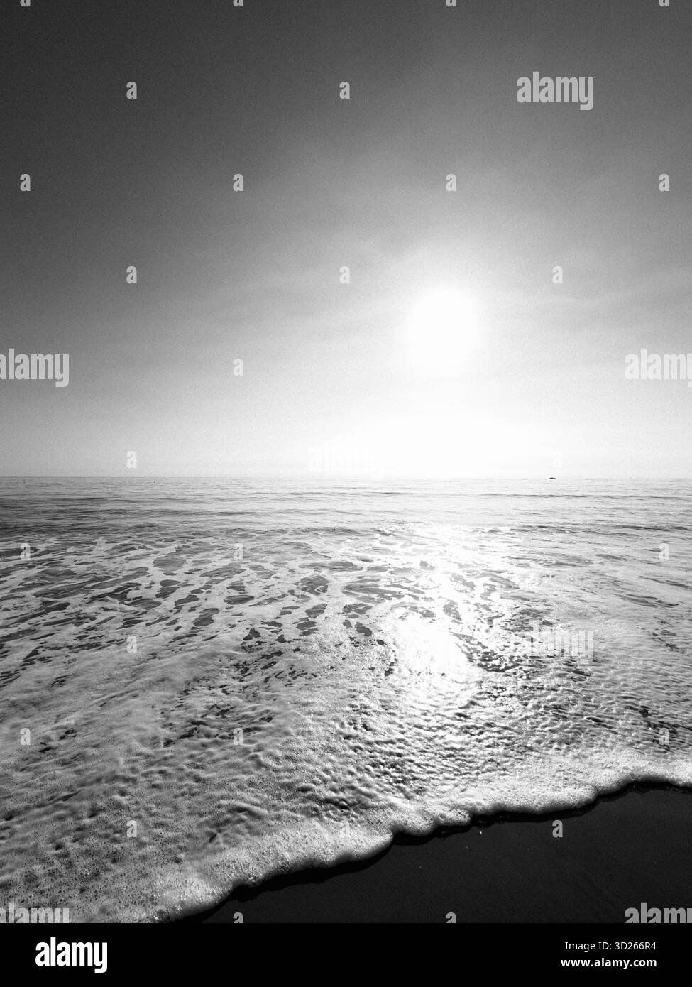 Vague sur une plage de sable par une journée calme et lumineuse Banque D'Images