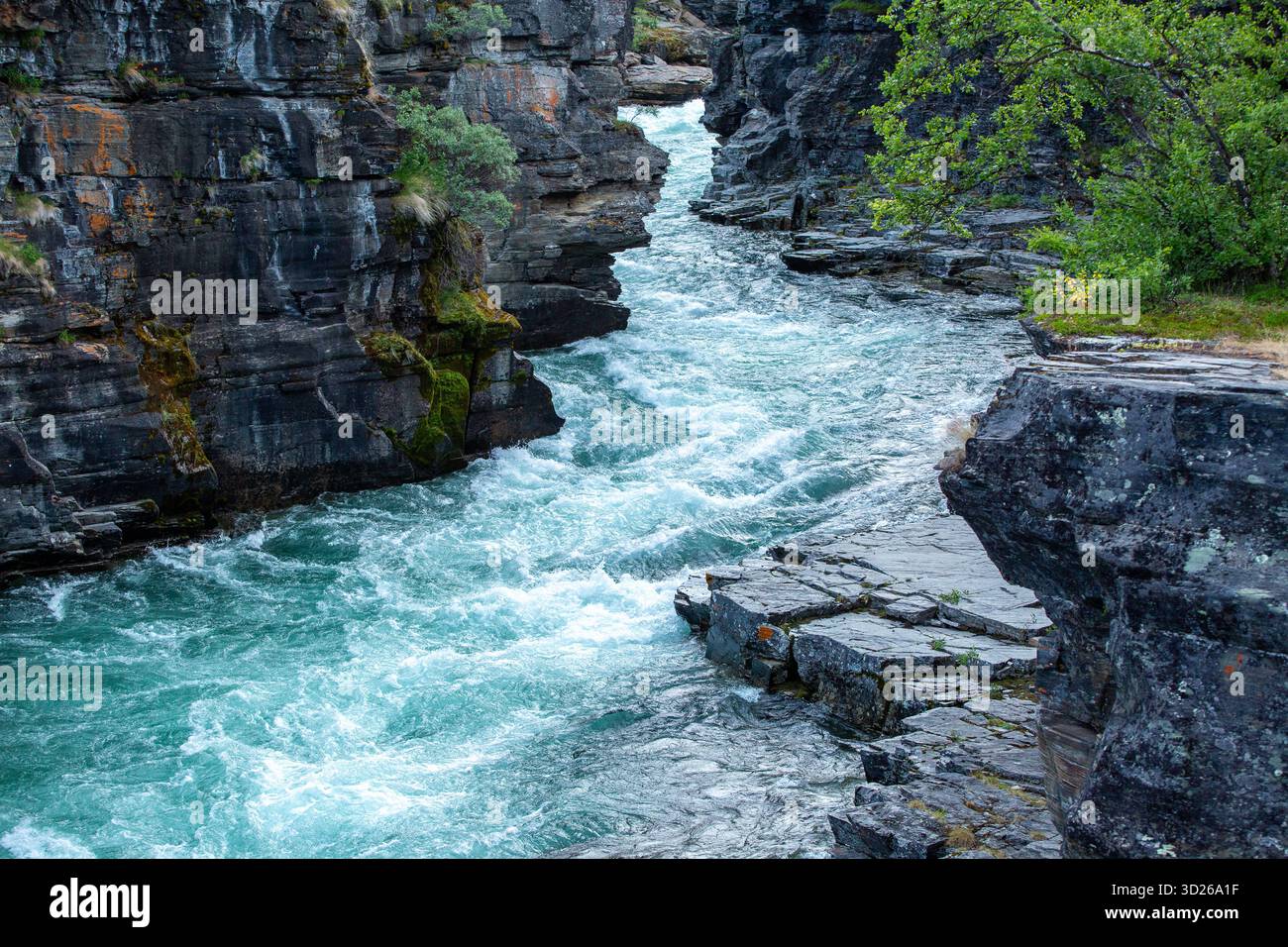 L'eau turquoise de la belle rivière Abisko, Abiskojokk, coule entre les rochers du canyon Abisko, Suède, Europe du Nord Banque D'Images