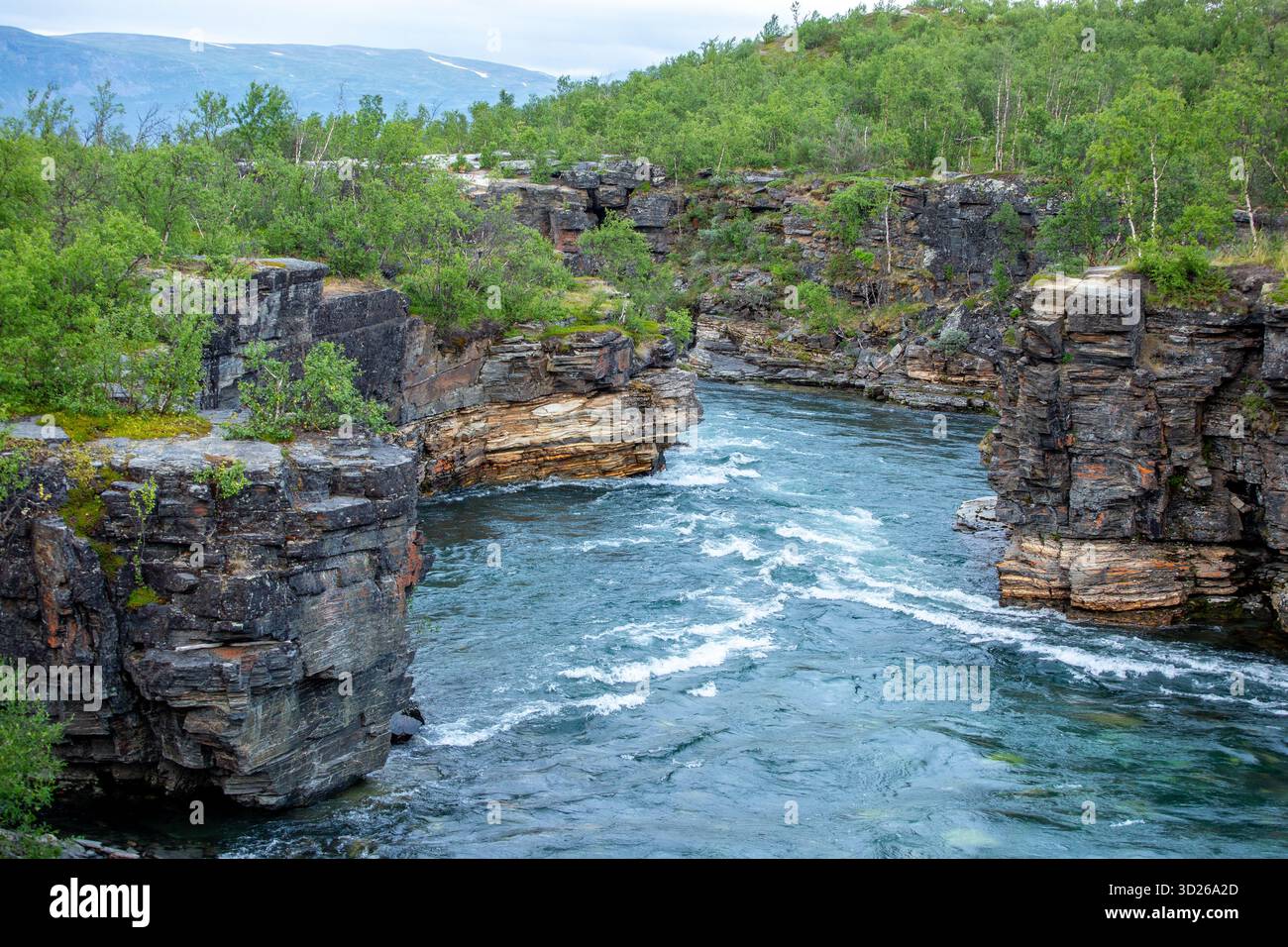 L'eau turquoise de la belle rivière Abisko, Abiskojokk, coule entre les rochers du canyon Abisko, Suède, Europe du Nord Banque D'Images