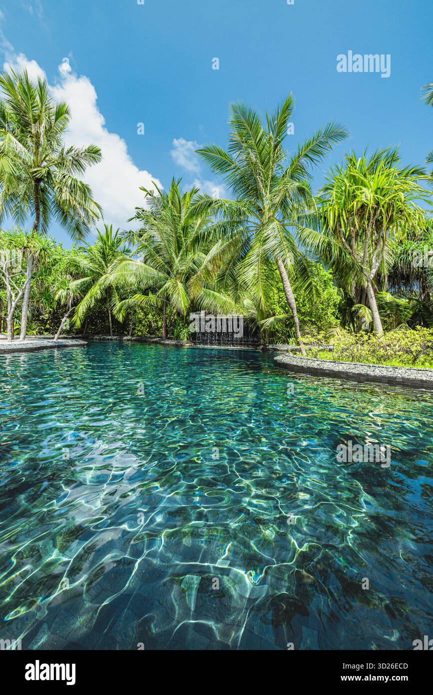 Piscine tropicale de luxe avec cascade, palmiers, paysage de jardin exotique, paradis de vacances serein Banque D'Images