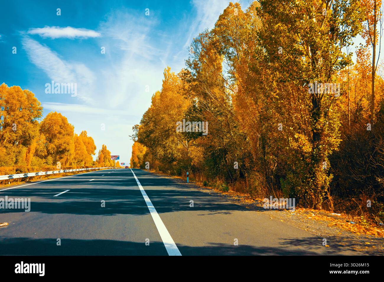 Une route avec des arbres des deux côtés et un ciel bleu clair. La route est vide et il n'y a pas de voitures sur elle Banque D'Images