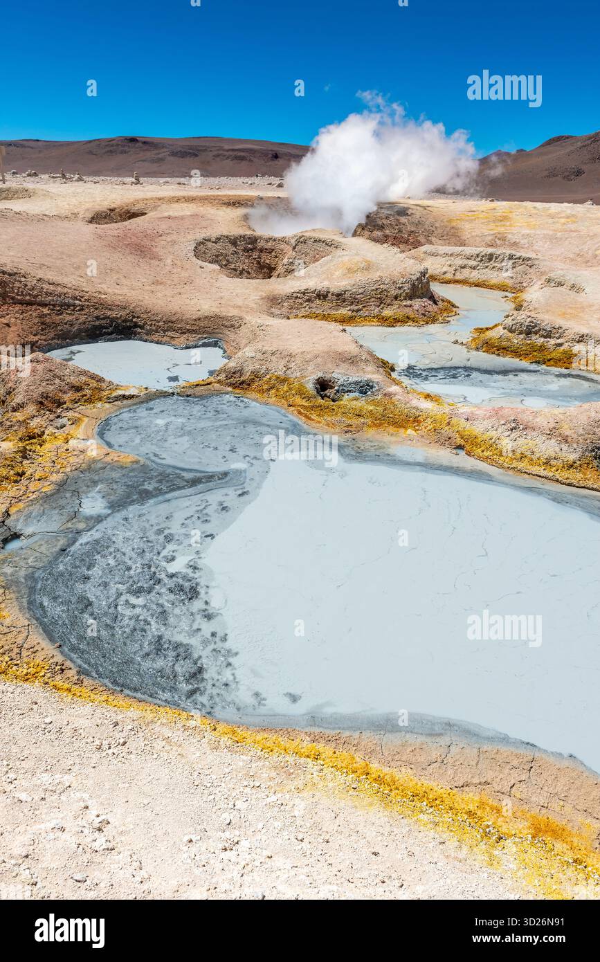 Activité géothermique, fosses de boue et fumerolles au geyser sol de Manana (Morning Sun), réserve Eduardo Avaroa, Uyuni, Bolivie. Banque D'Images