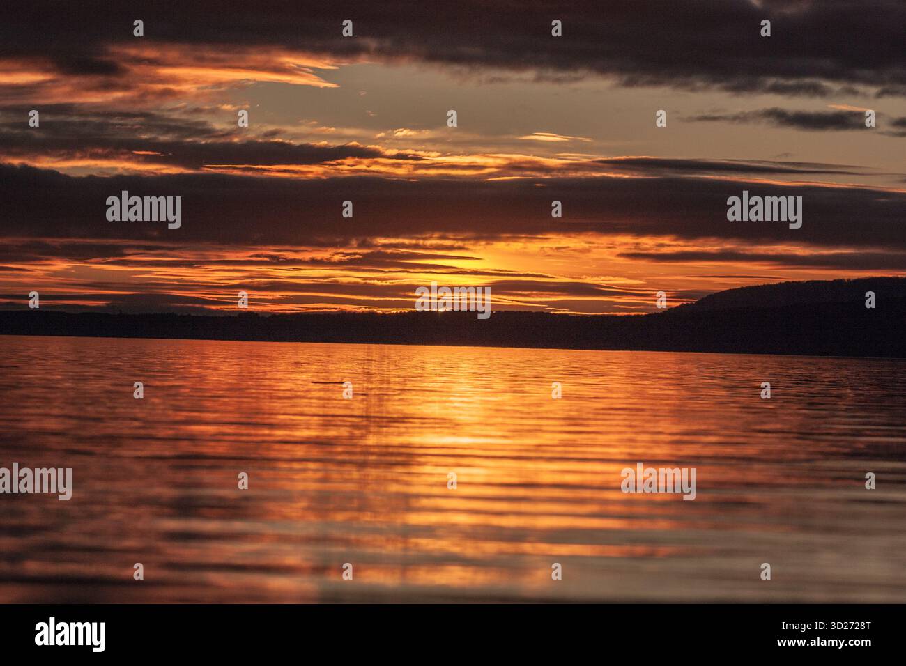 Coucher de soleil sur le Pacifique, Chili. Coucher de soleil doré illuminant les vagues de l'océan le long de la côte, avec des couleurs vives du ciel et une atmosphère de plage relaxante. Banque D'Images