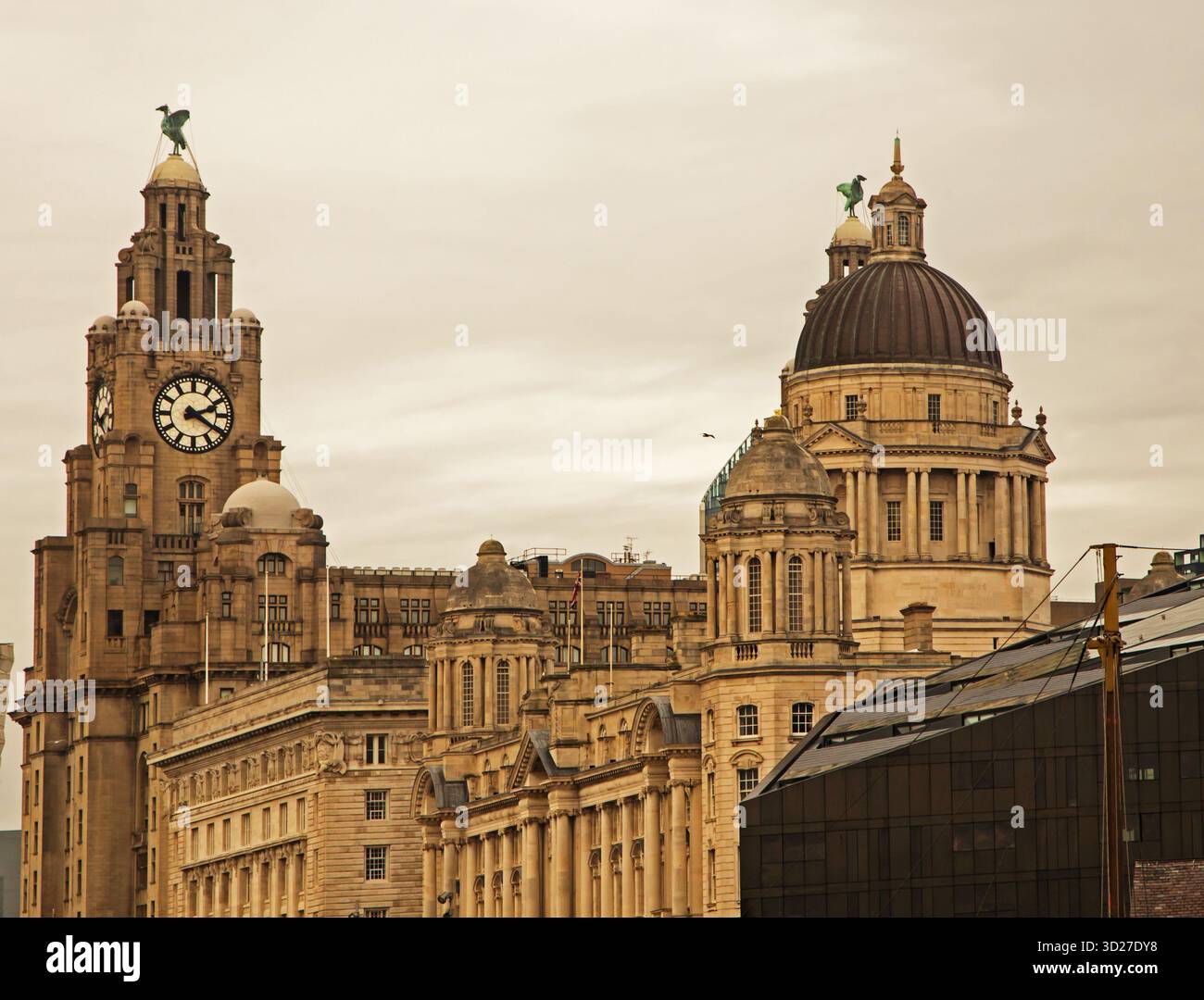 Une vue sur les oiseaux de foie au sommet du Liver Building, Liverpool Banque D'Images
