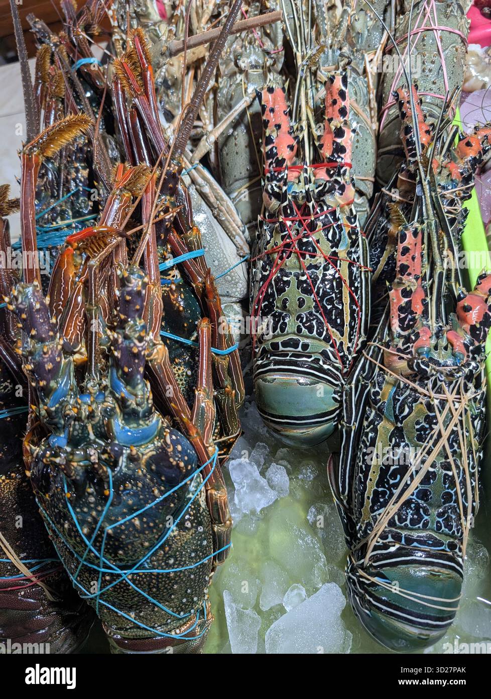 Homards - Image de stock capturée avec un smartphone