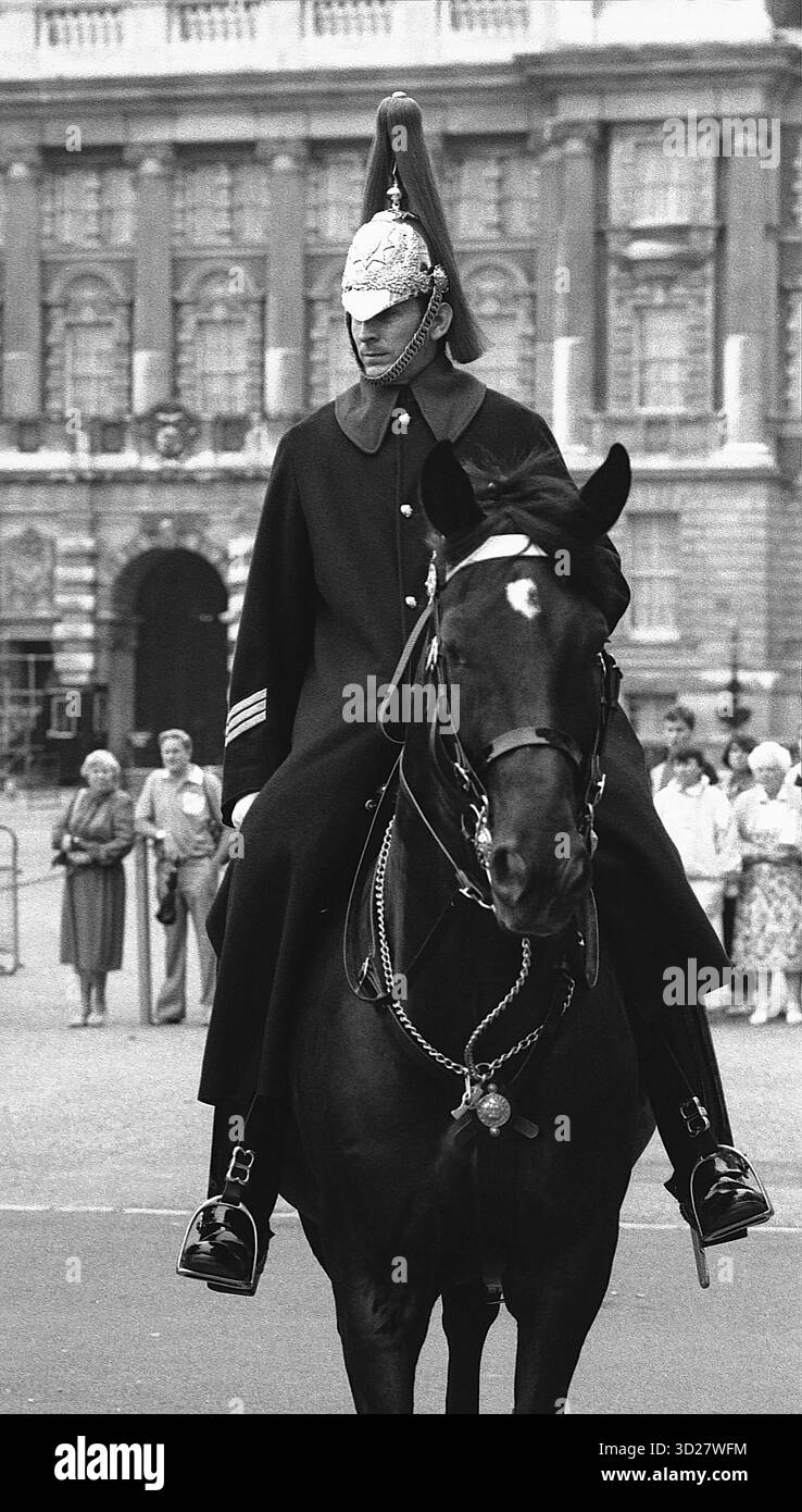 Une présence de commandement à Horse Guards Parade. Cet emblématique cheval noir uniforme et majestueux représente des siècles de tradition militaire britannique, symbole intemporel du patrimoine londonien. Banque D'Images