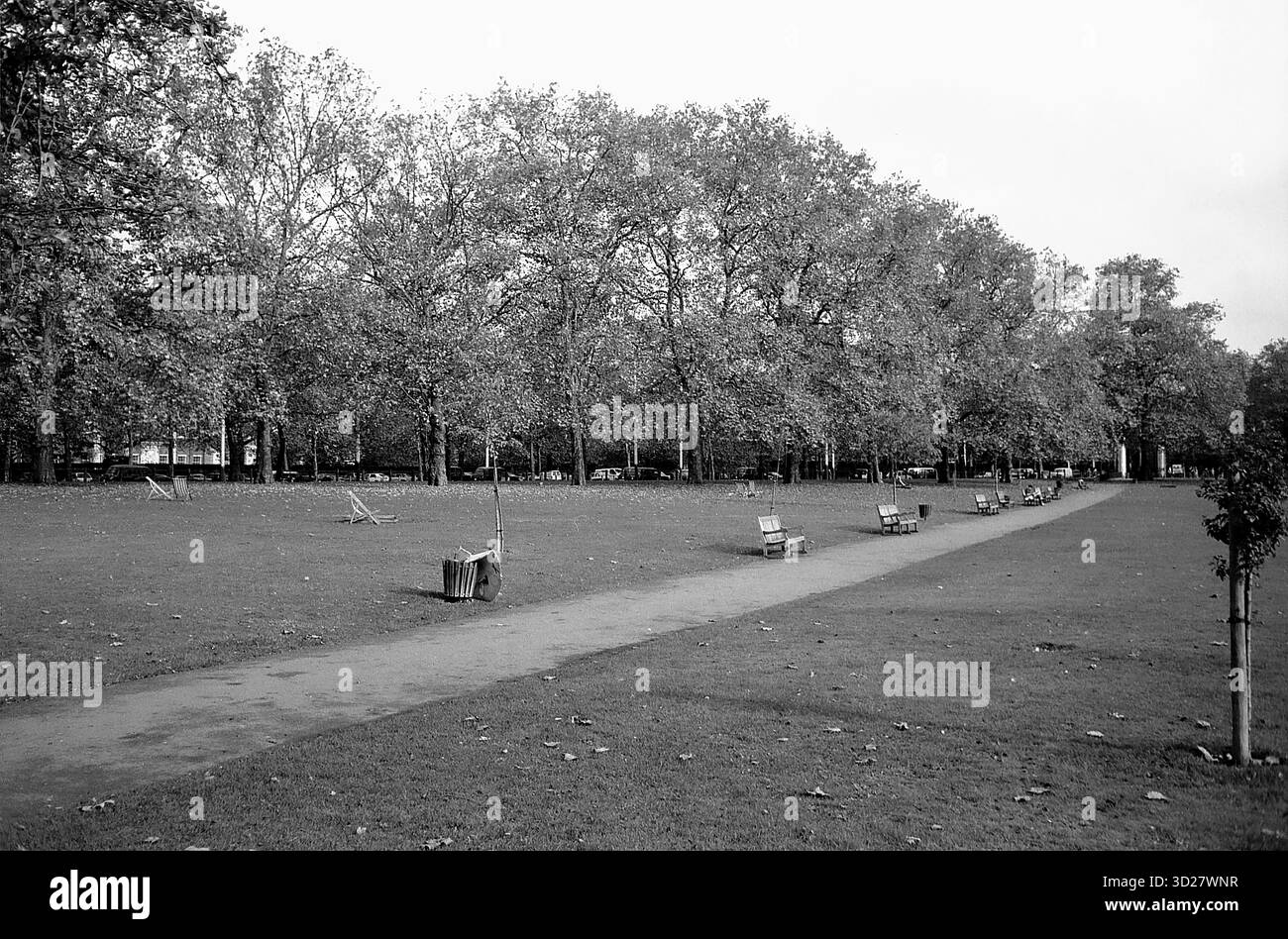 Green Park, Londres : une étendue sereine de verdure rencontre la forêt royale historique, offrant une escapade tranquille au milieu de l'énergie vibrante de la capitale. Ce parc emblématique, parc royal depuis 1285, abrite des troupeaux de cerfs sauvages et constitue un refuge pour les marcheurs, les cyclistes et les passionnés de nature. Explorez le vaste paysage vallonné et découvrez un morceau de la riche histoire de Londres. Banque D'Images