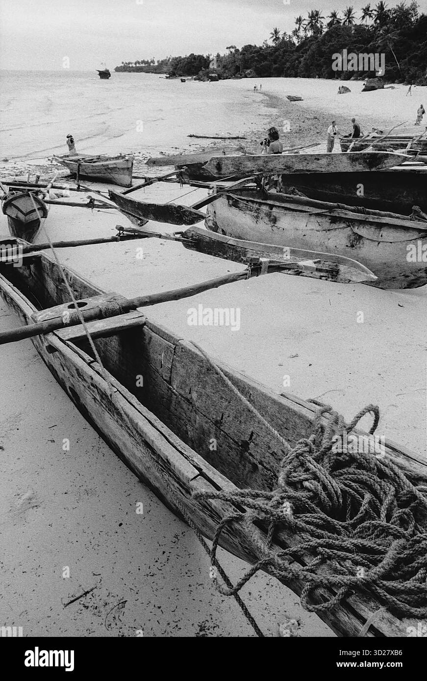 Bateaux traditionnels de Zanzibar : un aperçu du patrimoine maritime de l'île. Ces dhows, héritage de siècles de commerce, sont toujours une partie vitale du paysage côtier, offrant un lien avec le riche passé de Zanzibar. Les bateaux reposent sur les rives de l’océan Indien, avec les eaux turquoises qui s’étendent jusqu’à l’horizon. L’image présente les emblématiques boudins de Zanzibar, un rappel visuel de l’histoire profonde de l’île. Banque D'Images
