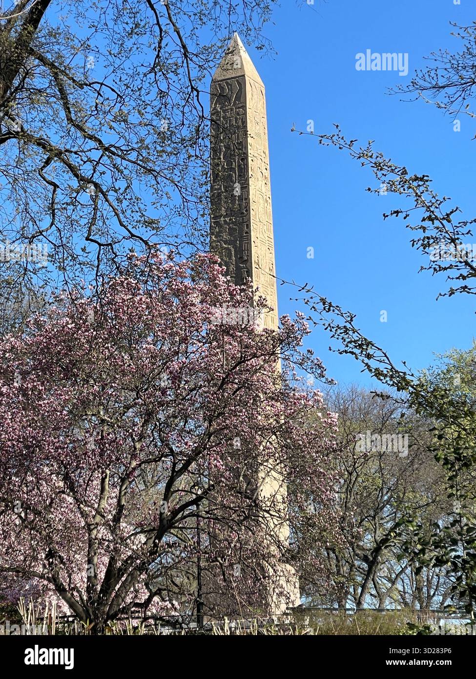 L’Obélisque, Central Park NYC — l’ancienne “aiguille de Cléopâtre” debout comme un pont entre le passé de l’Égypte et le présent de New York. - Image de stock capturée avec un smartphone