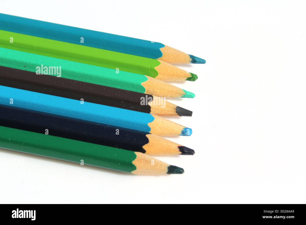 Rangée de crayons aiguisés verts et bleus sur fond blanc Banque D'Images