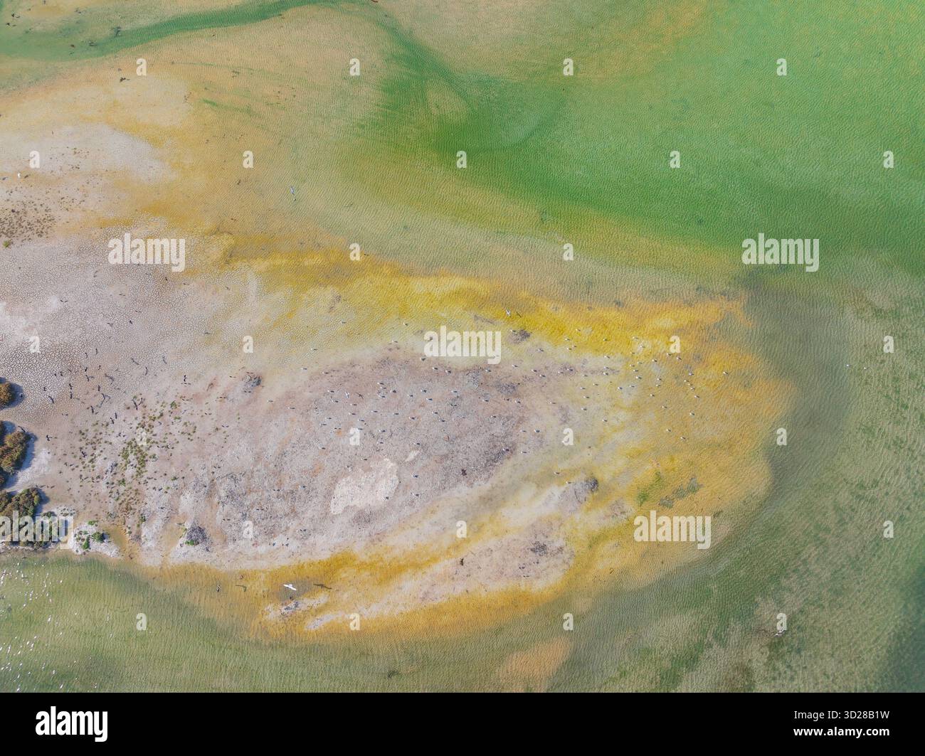Vue aérienne de détails abstraits dans le lac salé d'accord à Robe sur la côte calcaire en Australie méridionale. Banque D'Images