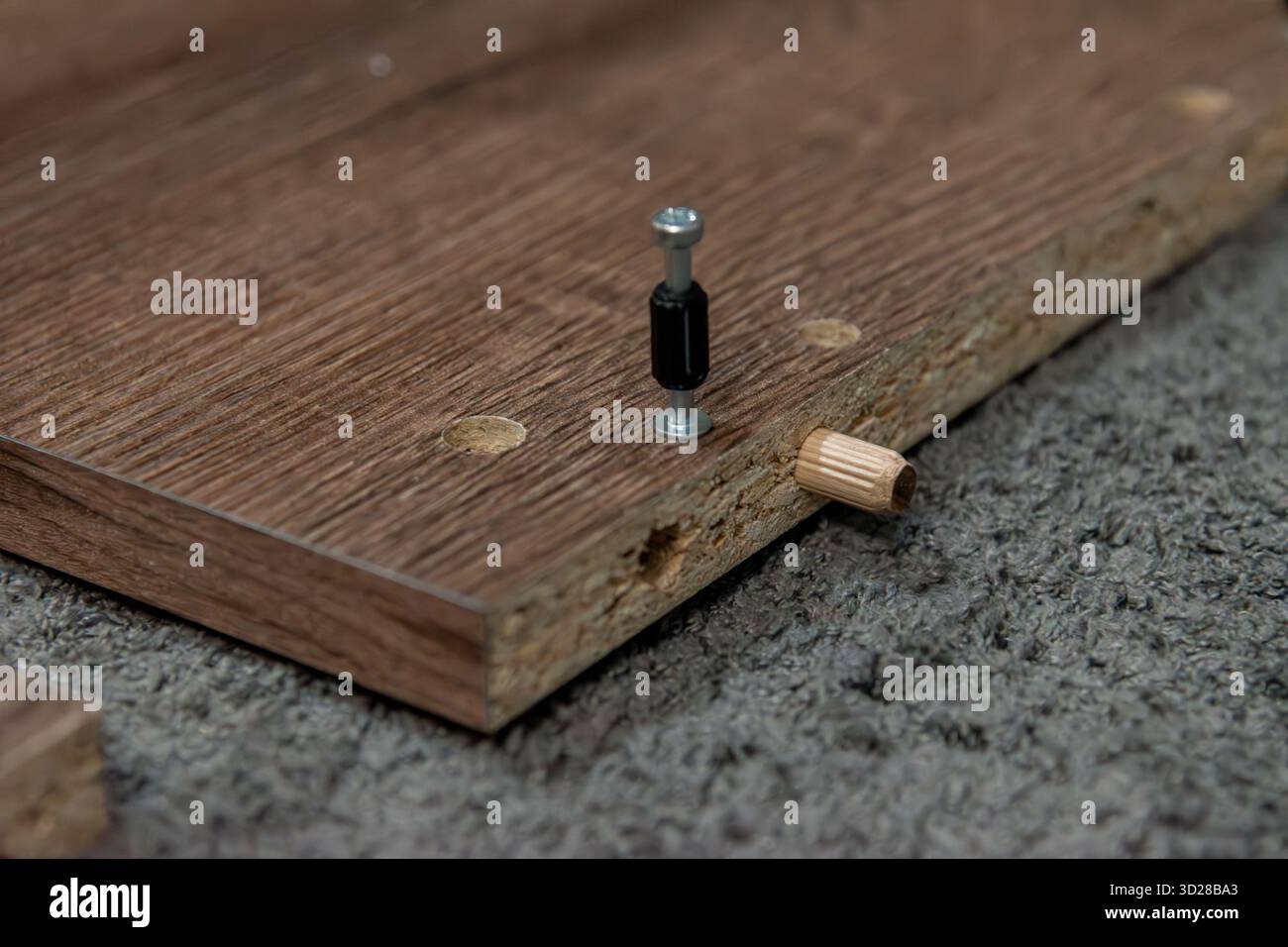 Gros plan d'une cheville en bois et d'un boulon métallique insérés dans un panneau de particules. Concept d'assemblage de meubles modernes à la maison et de réparation de bricolage. Banque D'Images