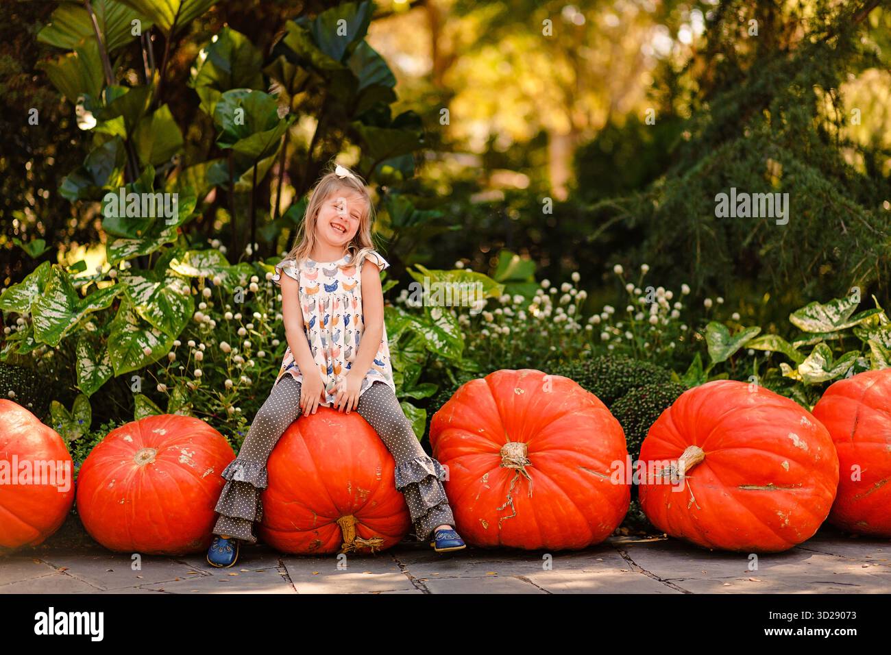 Fille souriante est assis sur une grande citrouille entourée de verdure Banque D'Images