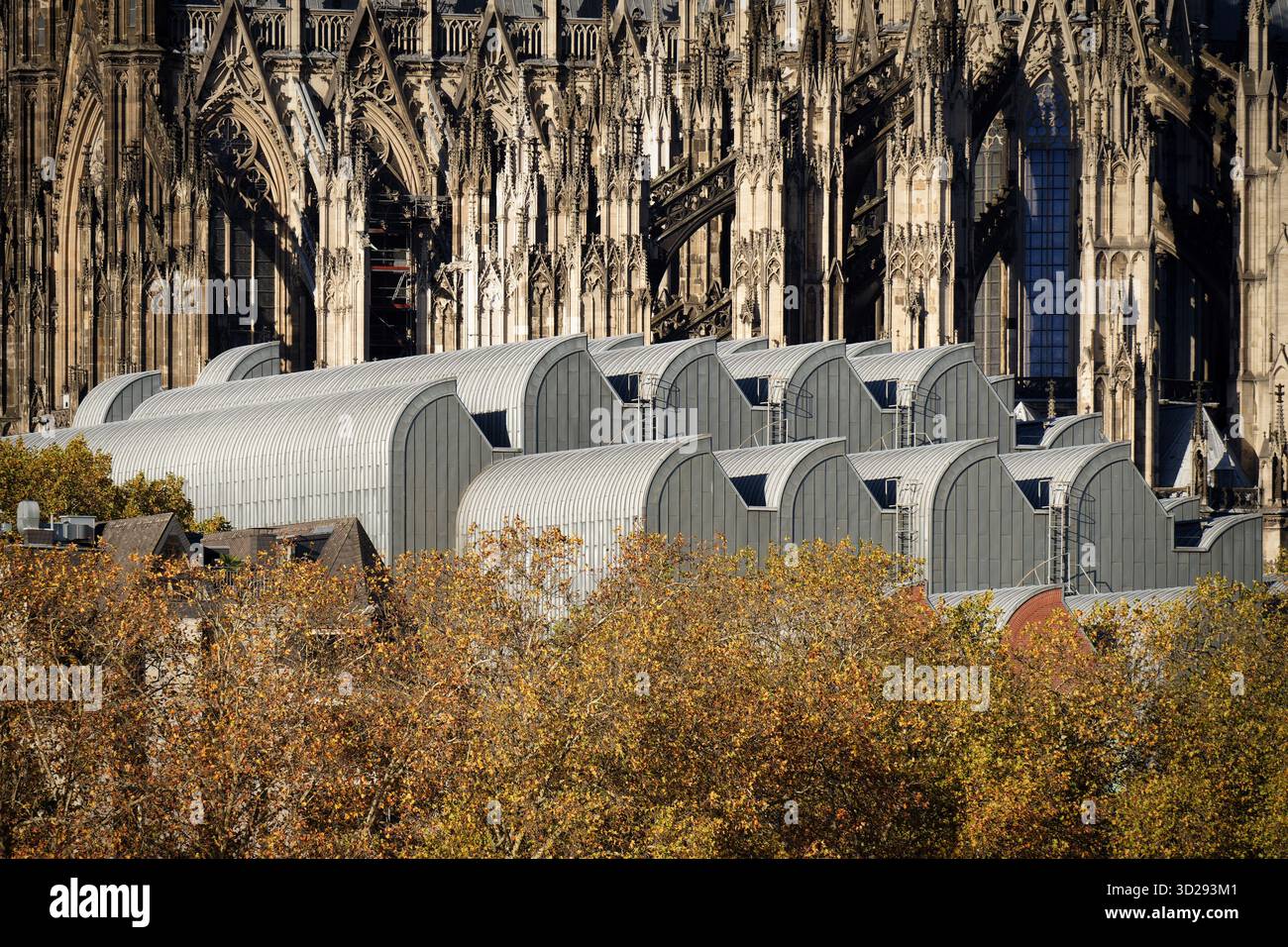 Gros plan sur les élégants toits métalliques ondulés du Musée Ludwig, juxtaposés à l'architecture gothique complexe de la cathédrale de Cologne et du fol d'automne Banque D'Images
