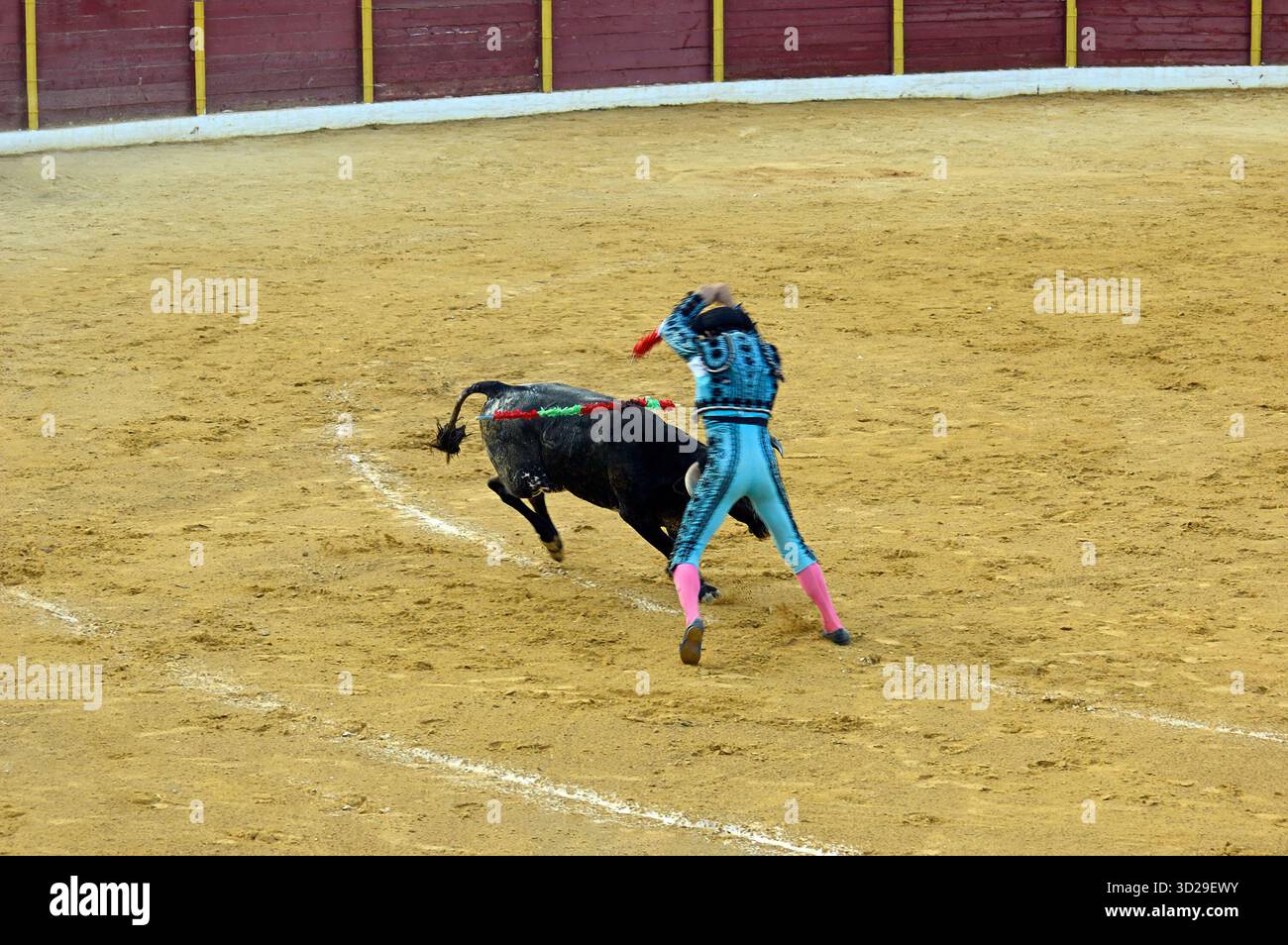 Benalmadena, Espagne - 13 août 2006 : Corrida divertissement espagnol typique - tauromachie. Torero non identifié combat contre un taureau. Andalousie Banque D'Images