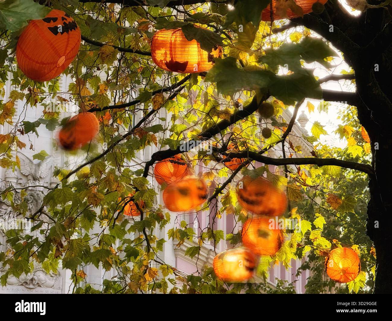 Centre-ville de Manchester. Place Sainte-Anne et lanternes orange d’Halloween dans les arbres d’automne. Banque D'Images