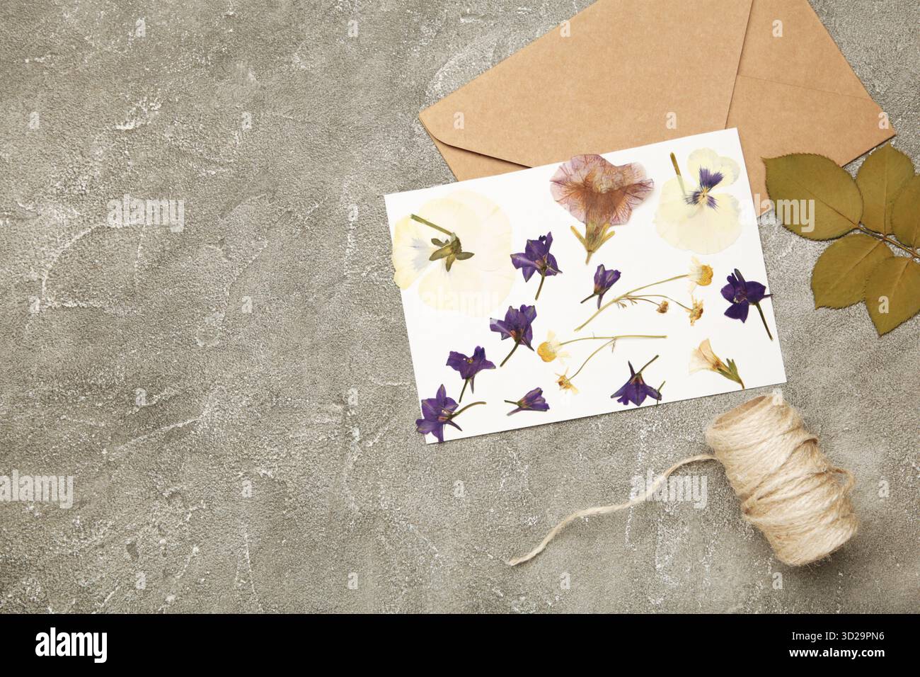 Fleurs pressées et séchées avec de la ficelle sur fond de béton gris. Espace pour le texte Banque D'Images