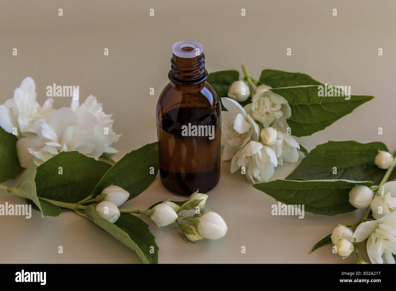 Une bouteille de médicament en verre brun avec un compte-gouttes avec de l'huile essentielle organique de fleurs de jasmin sur un fond pastel. spa. aromathérapie Banque D'Images