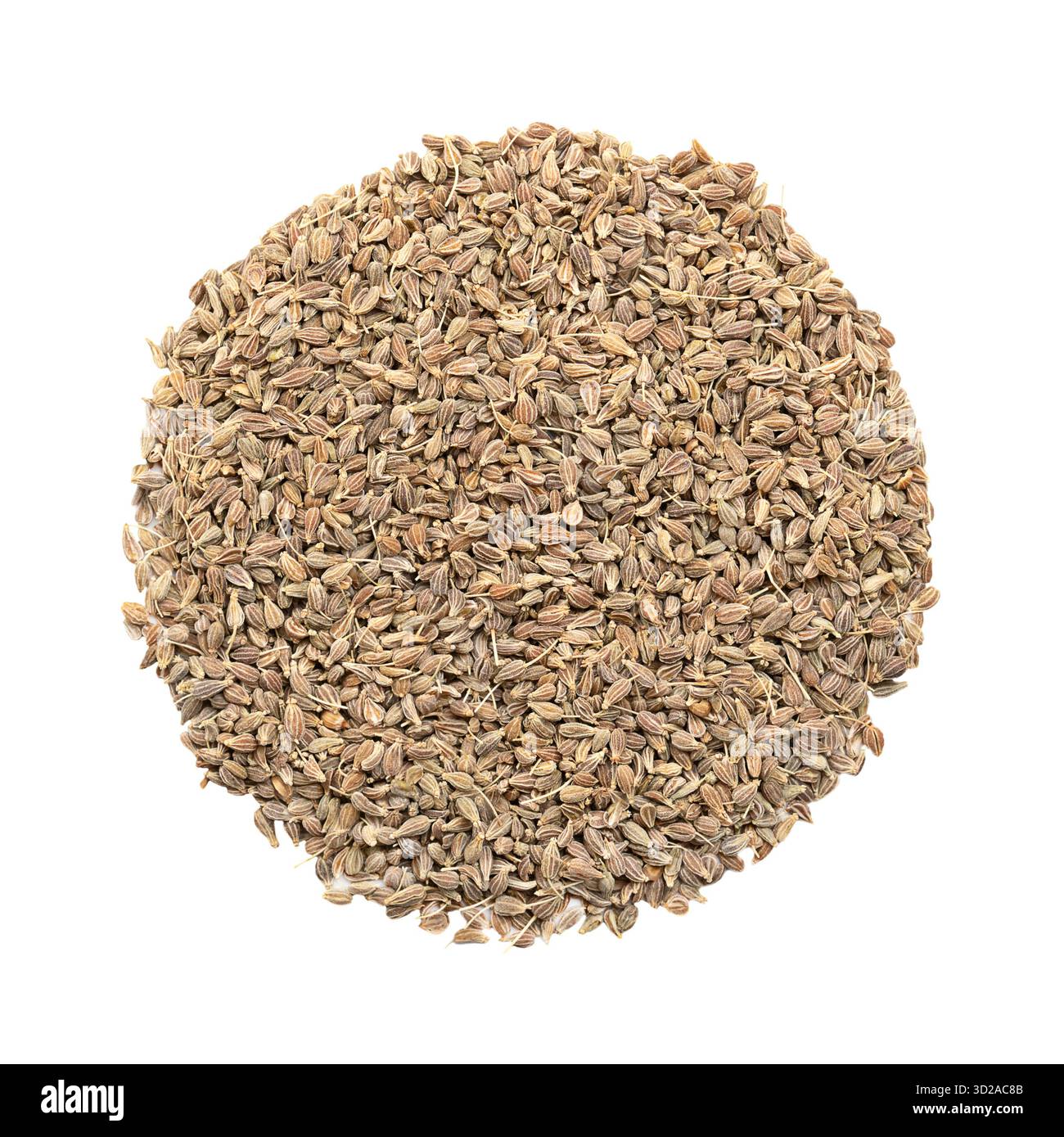 Anis, graines d'anis, en forme de cercle, isolées d'en haut, sur fond blanc. Fruits d'anis, appelés par erreur graines, de Pimpinella anisum. Banque D'Images